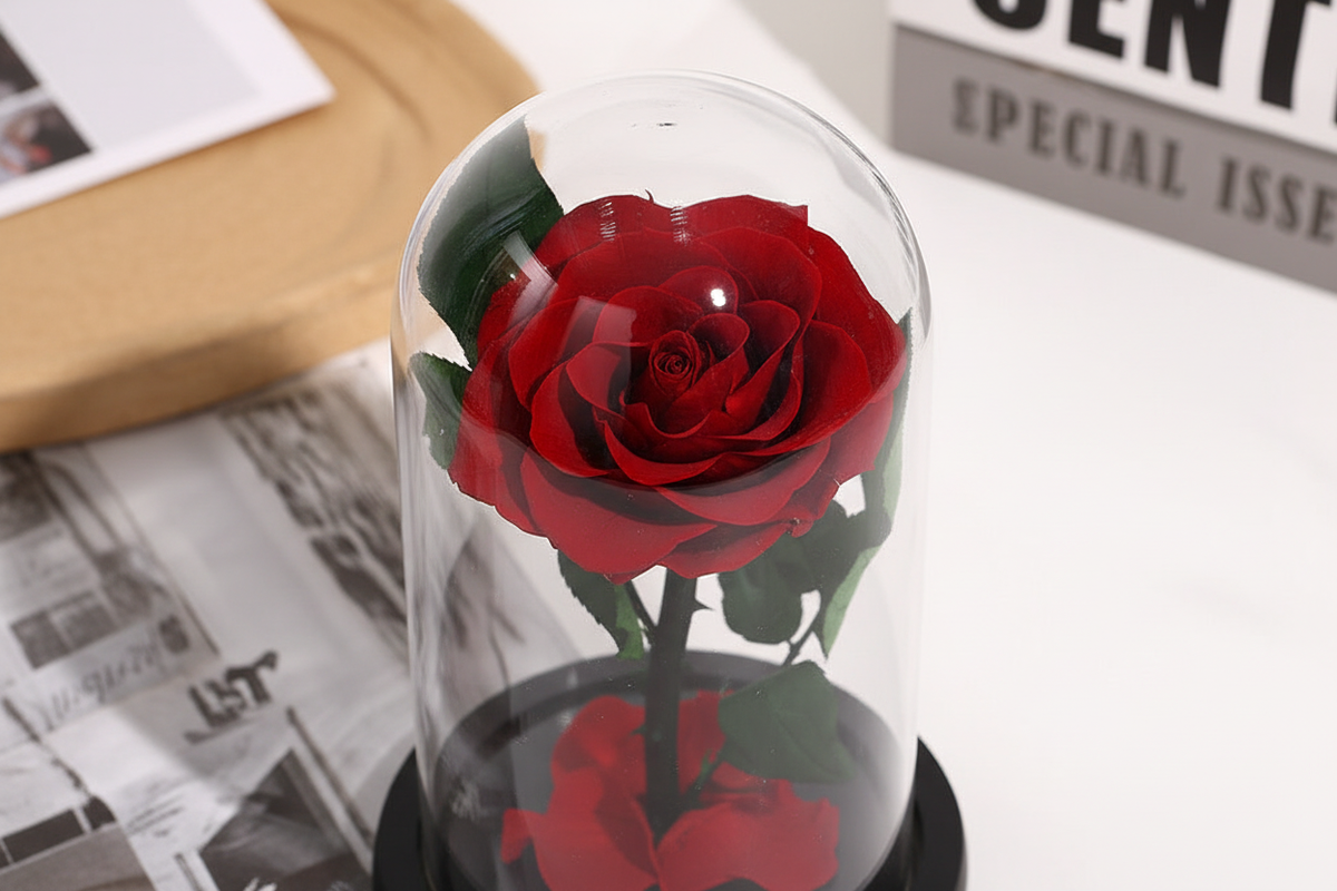 Idee Regalo