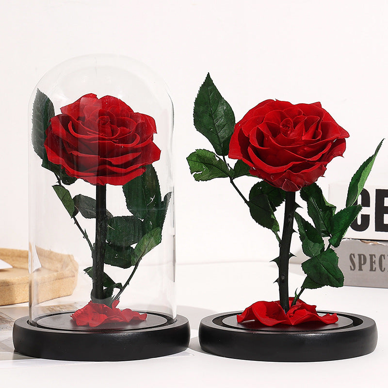 Rosa Eterna sotto Campana di Vetro con Base in Legno – Regalo Romantico