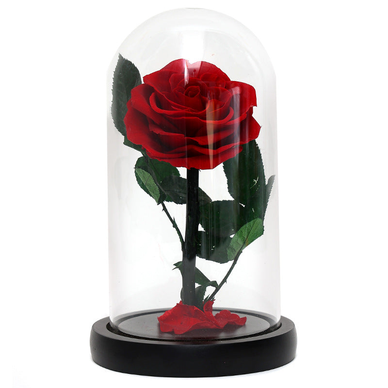 Rosa Eterna sotto Campana di Vetro con Base in Legno – Regalo Romantico