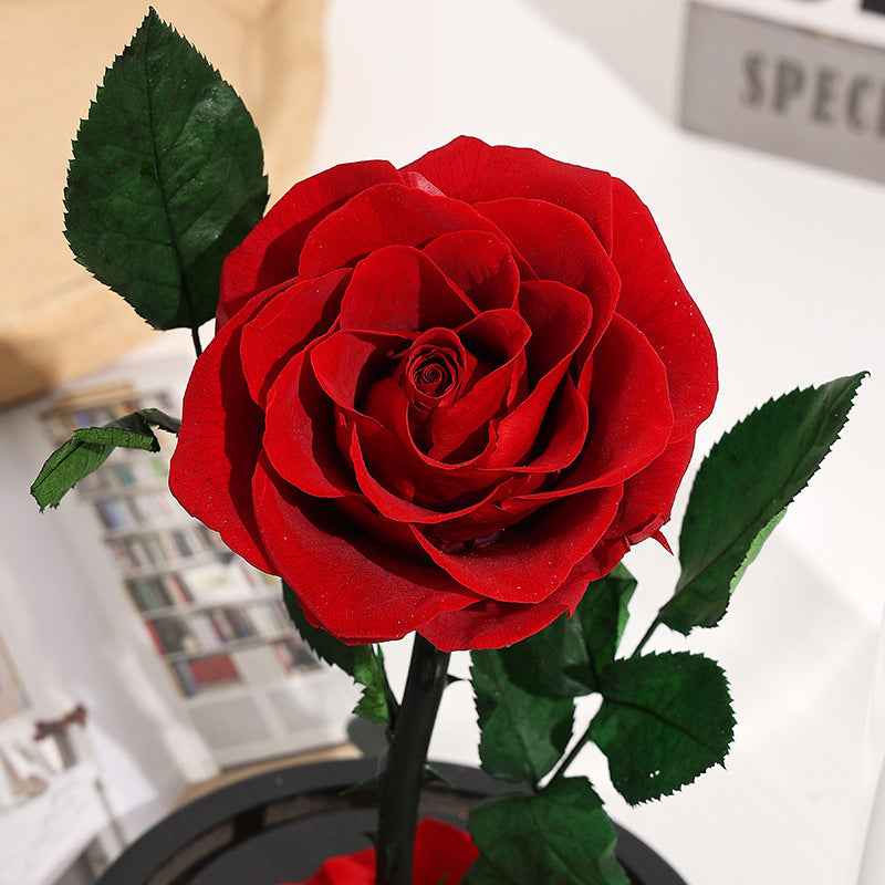 Rosa Eterna sotto Campana di Vetro con Base in Legno – Regalo Romantico