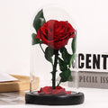 Rosa Eterna sotto Campana di Vetro con Base in Legno – Regalo Romantico