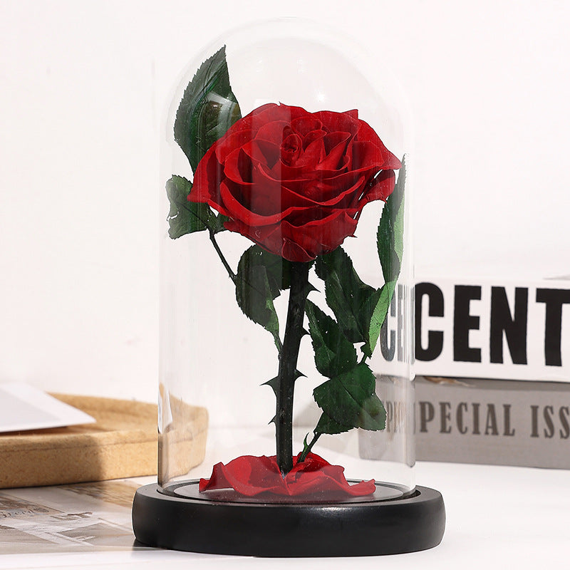 Rosa Eterna sotto Campana di Vetro con Base in Legno – Regalo Romantico